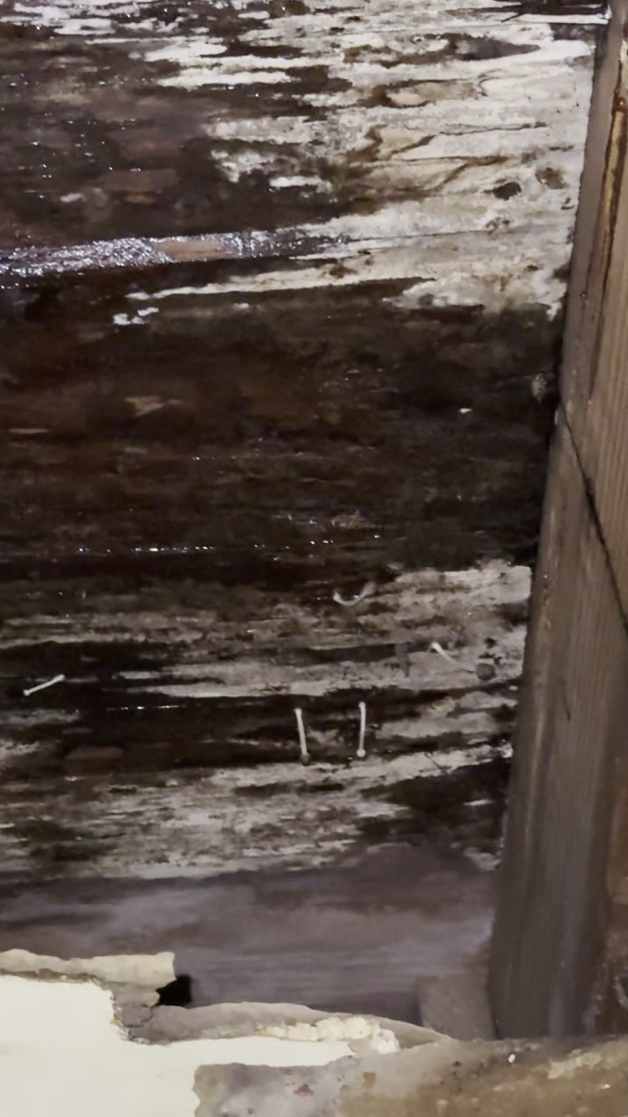 Photo 2 for issue: Inside the abandoned Unit 506 above: collapsed ceiling & rotted, moldy roof