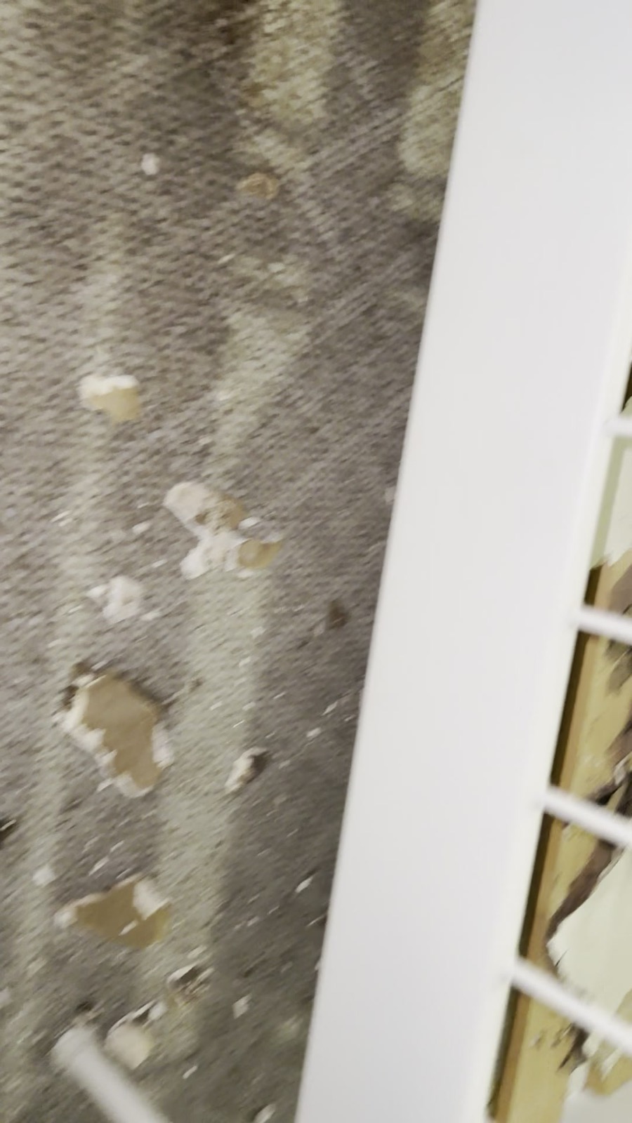 Photo 3 for issue: Inside the abandoned Unit 506 above: collapsed ceiling & rotted, moldy roof
